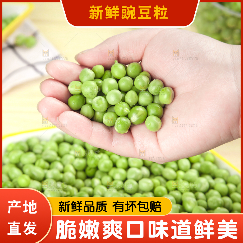 手里捧着青豌豆