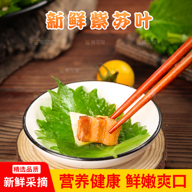 筷子夹着紫苏叶