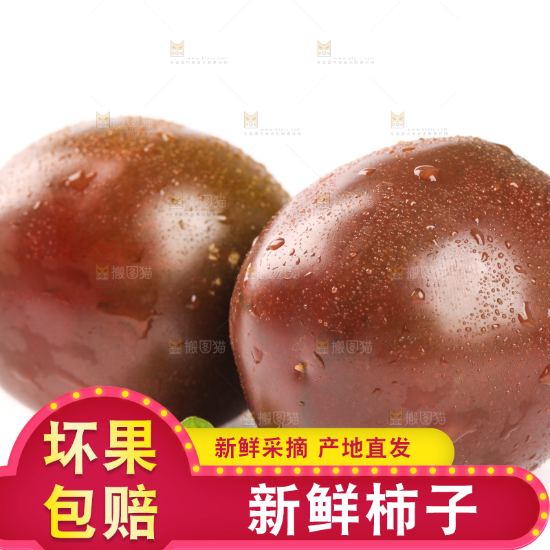 白底上的丹东铁皮柿子