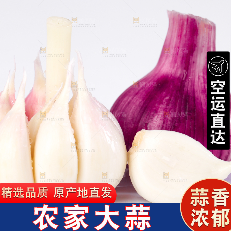 白底上放着大理紫皮多瓣蒜 