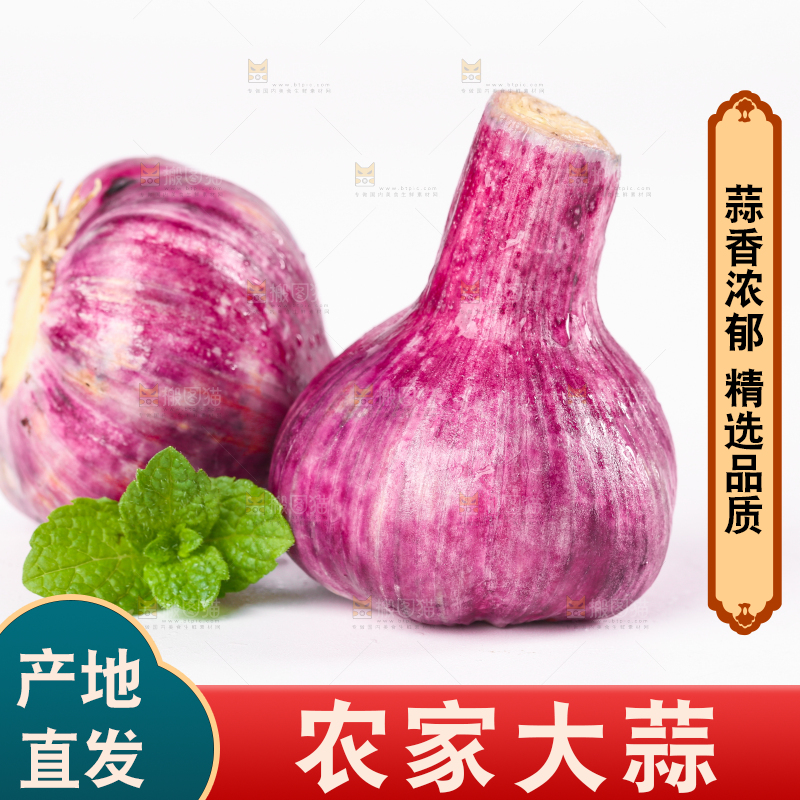 白底上放着紫皮大蒜