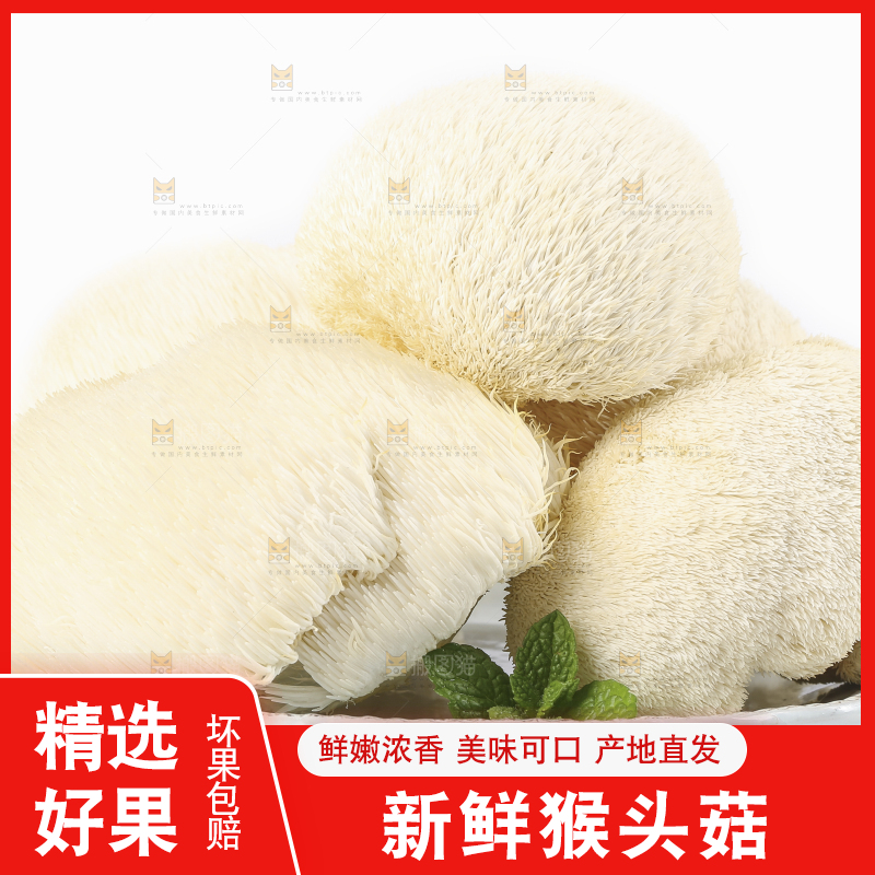 盘子里装着新鲜猴头菇