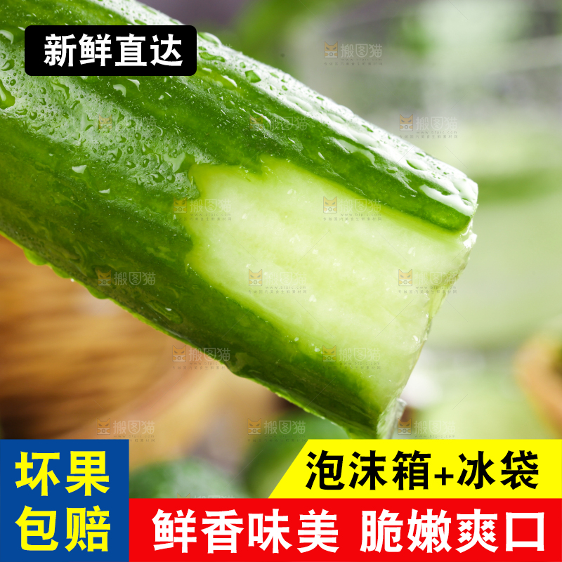 手里拿着山东水果黄瓜