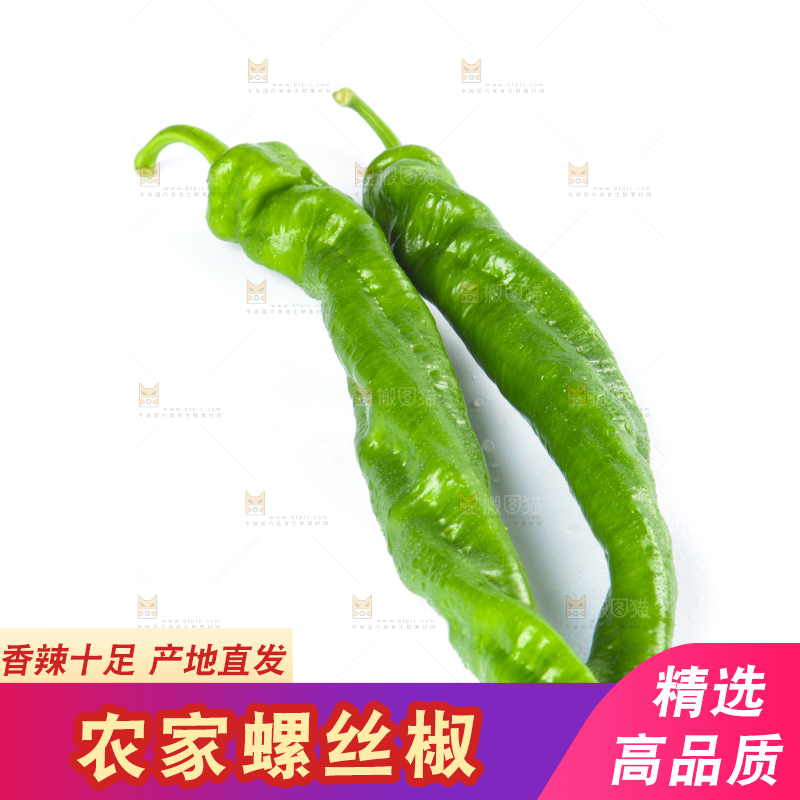白底上摆放着青螺丝椒