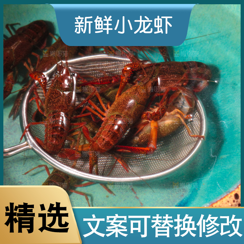 盆子里装着小龙虾