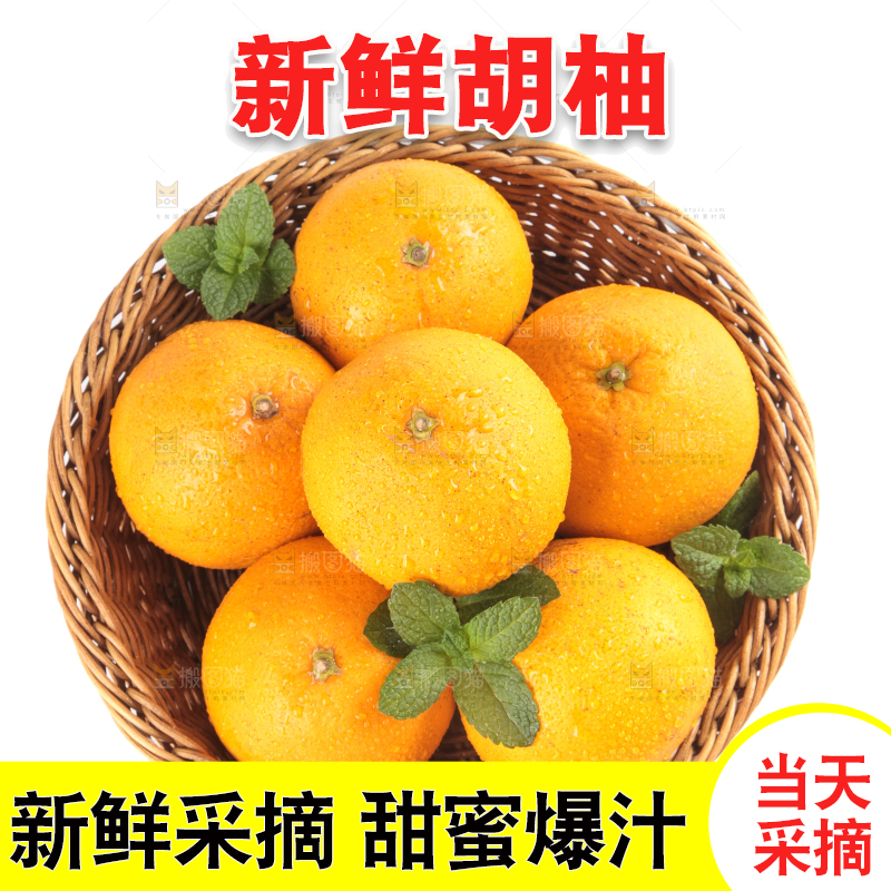 篮子里的胡柚
