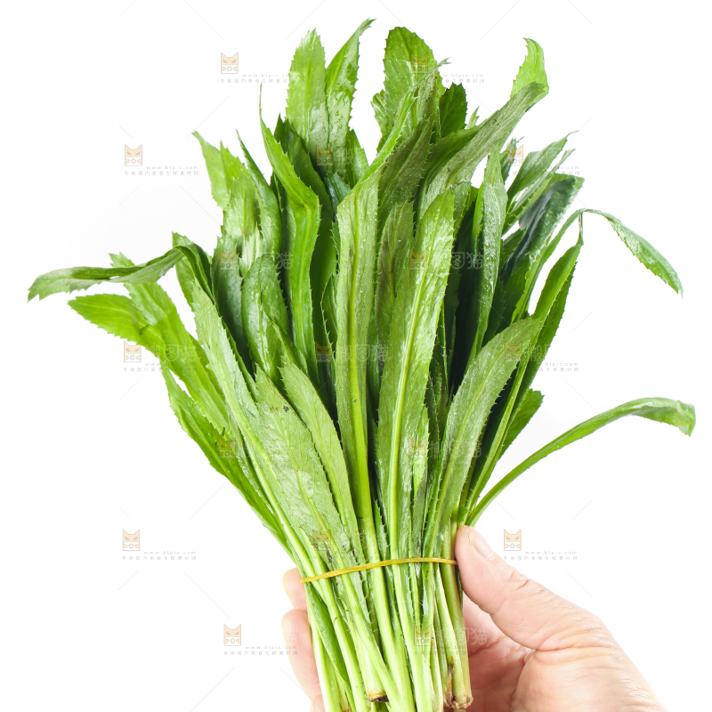 手拿一捆云南大香菜