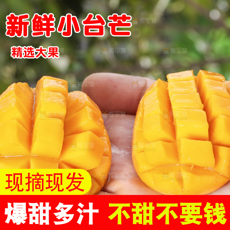 手拿切开的迷你小台芒