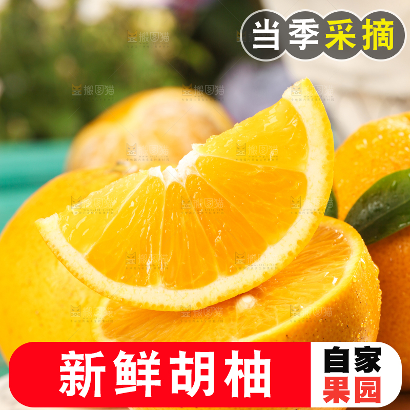 蓝底上放着一盘高山胡柚