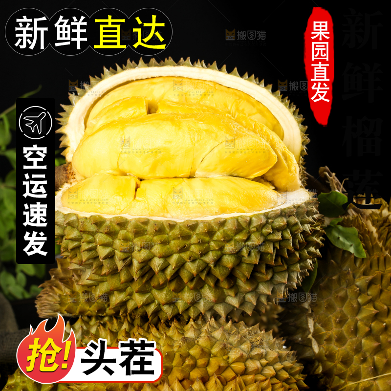 黑底上的进口甲仑榴莲
