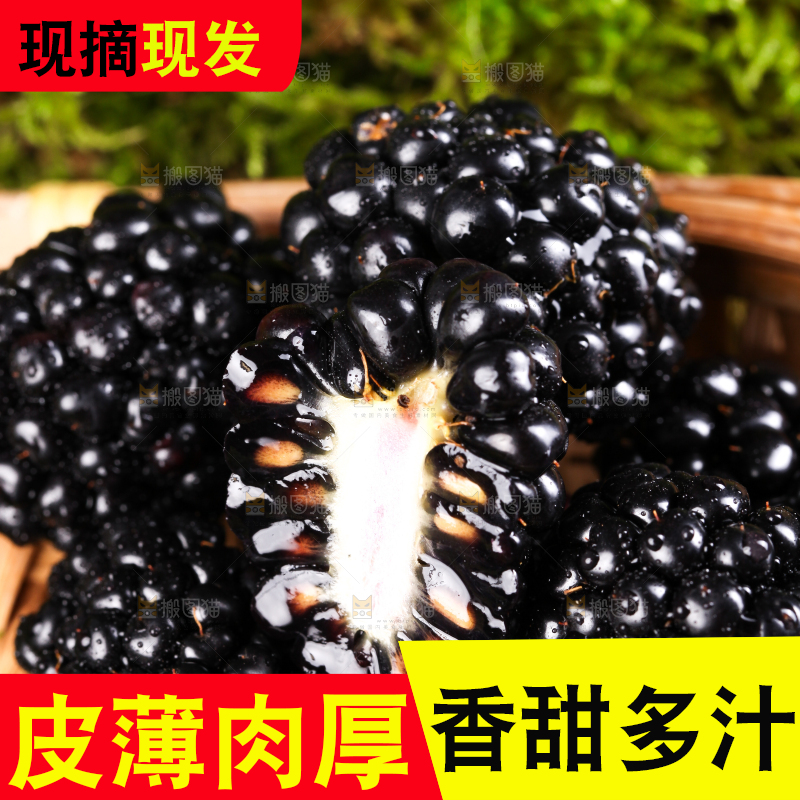 切开的黑树莓放在草地上