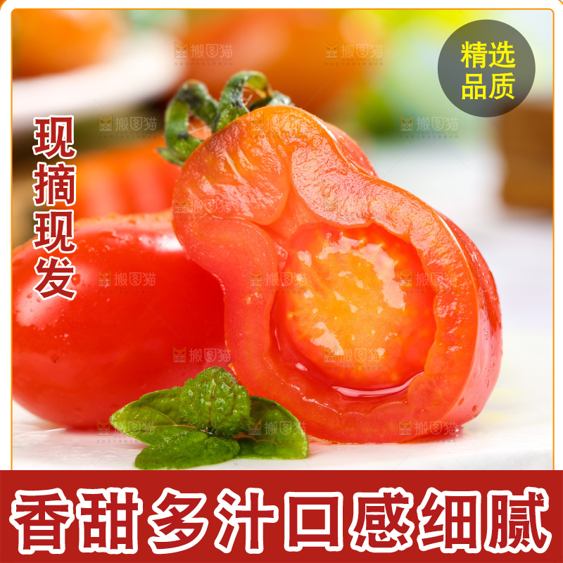 石板上摆放着丹东409小柿子