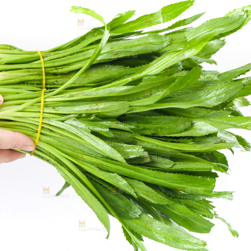 手拿云南大香菜