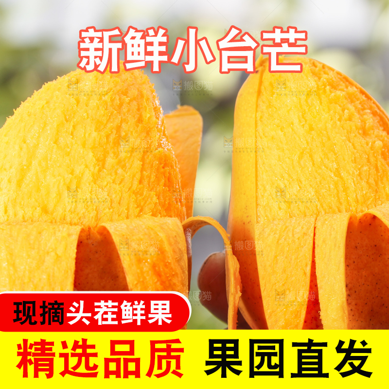 手拿剥皮的海南小台农芒果
