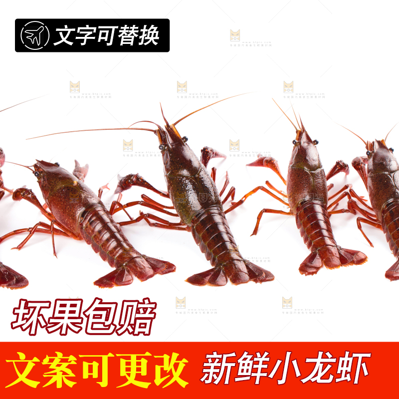 白底上放着潜江小龙虾