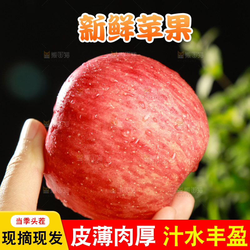 深底上的陕西秦冠苹果