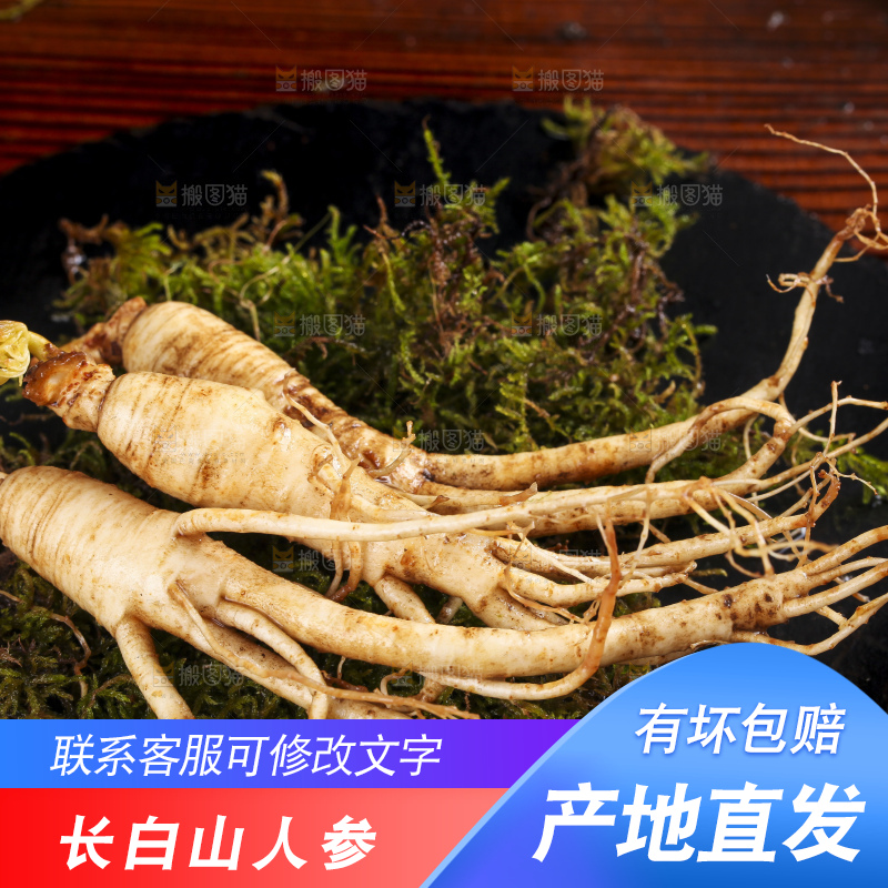 深底上的人参