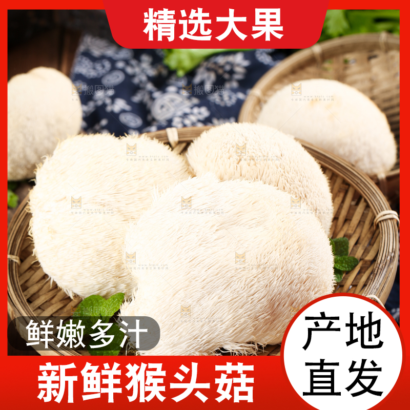 篮子里装着云南新鲜猴头菇