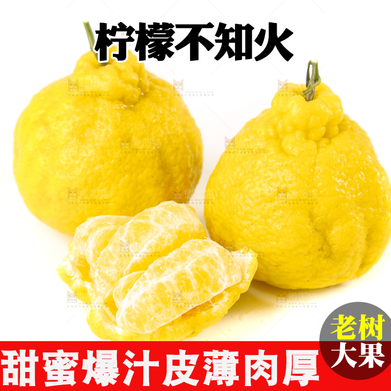 白底上放着四川柠檬不知火