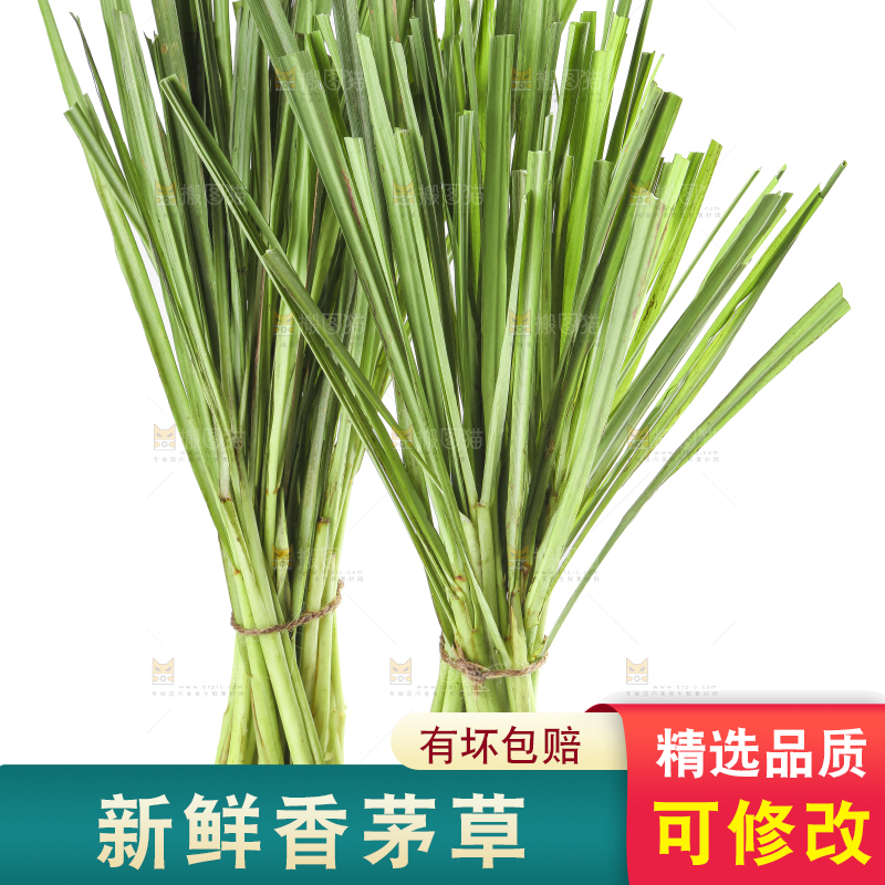 白底上的越南柠檬草