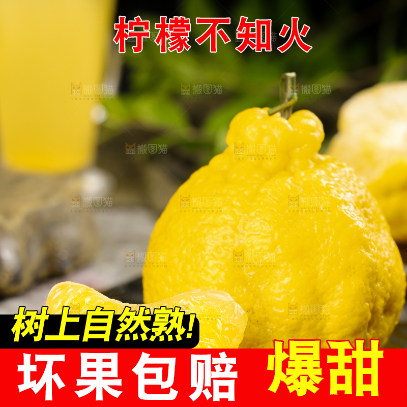 黑石板上放着四川柠檬不知火