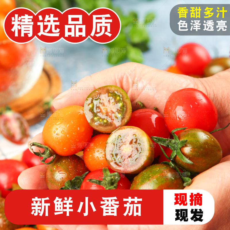 手拿三色圣女果