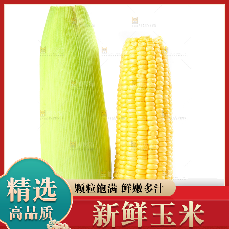 白底上摆放着苞谷