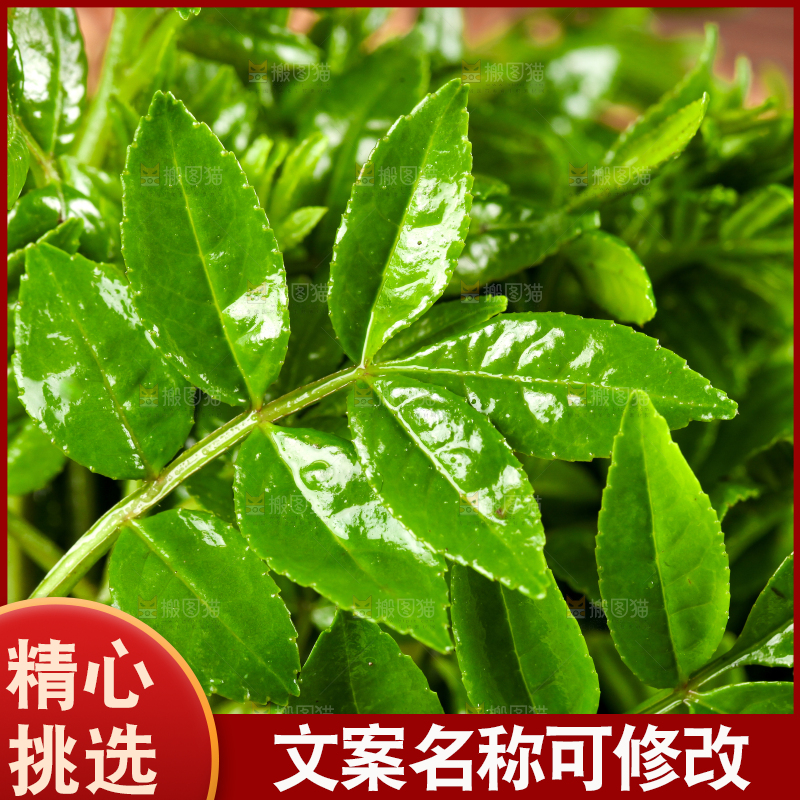 一筐新鲜的花椒叶放在木底上