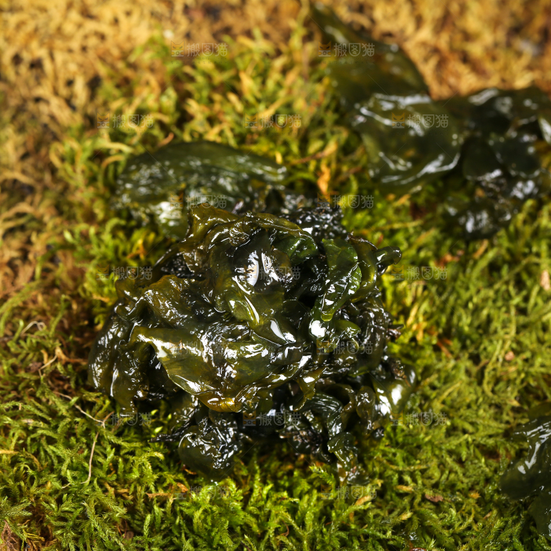手里拿着野菜