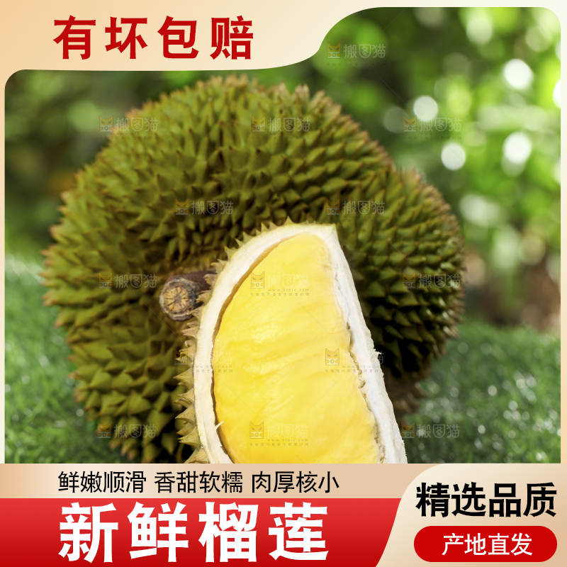 草地上摆放着甲仑榴莲