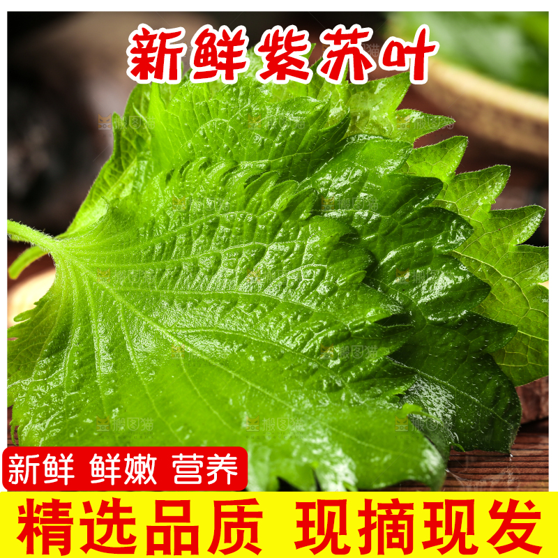 木板上的青紫苏叶