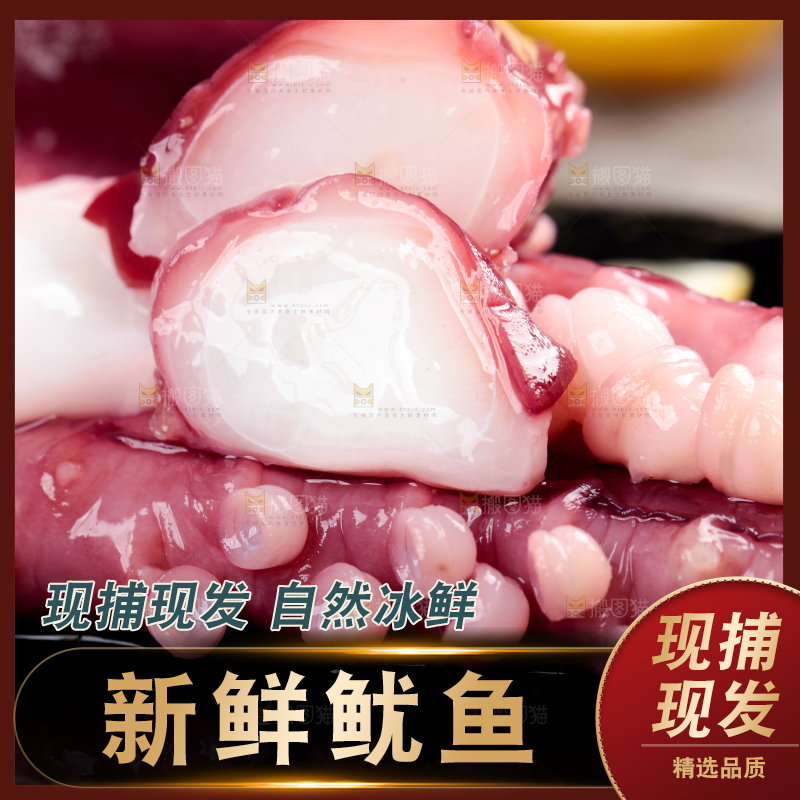 黑石板上的大鱿鱼