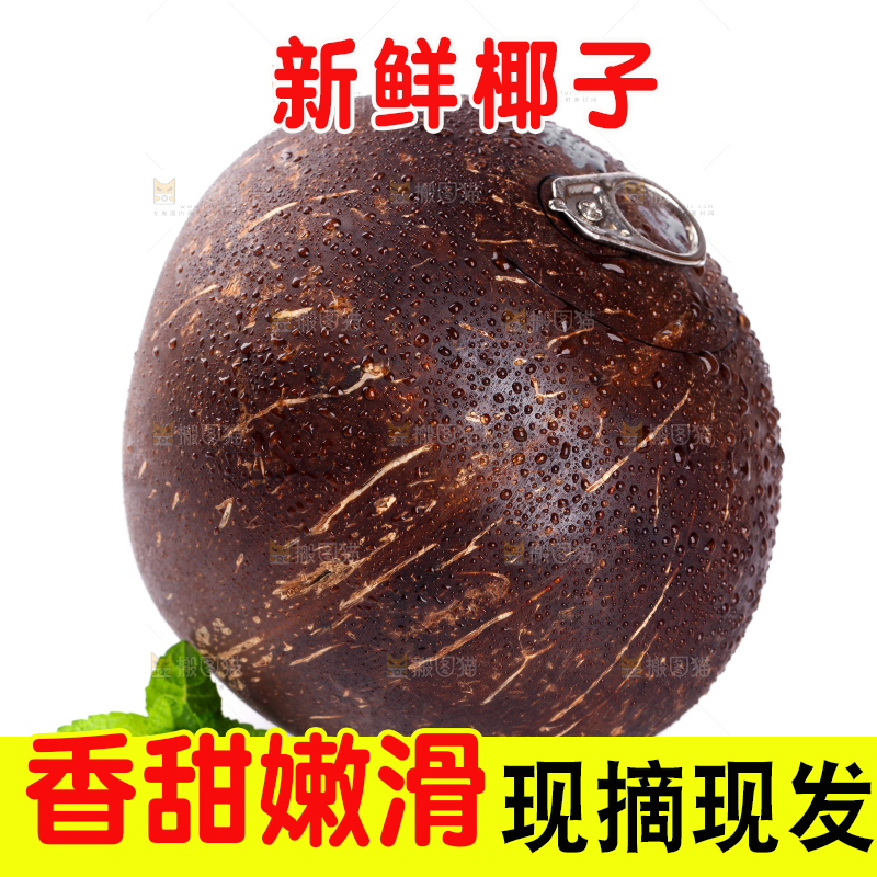 白底上放着海南椰王