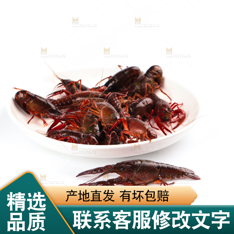 盘子里的鲜活龙虾