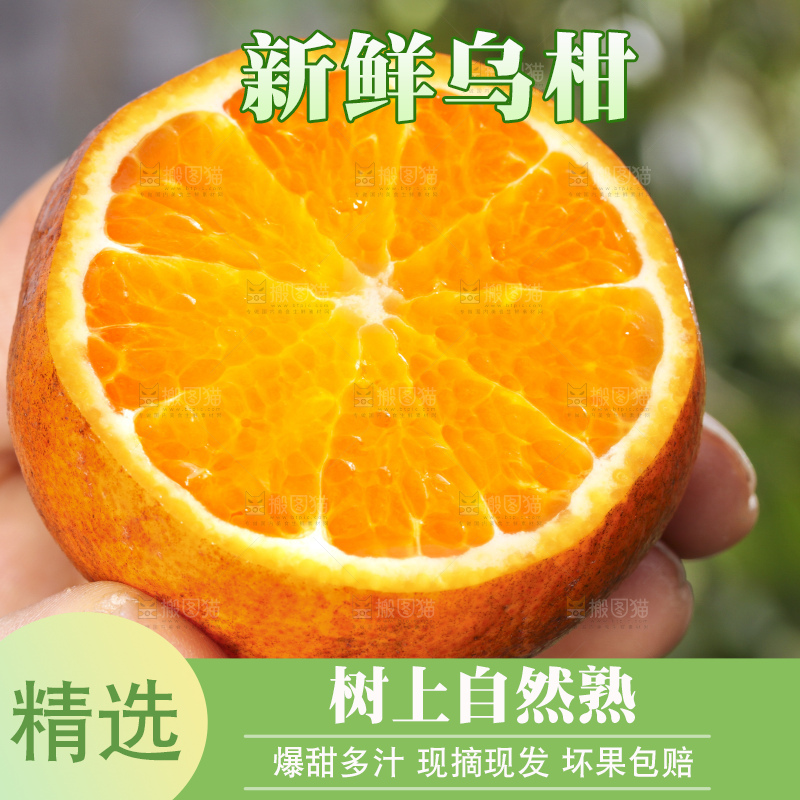 手拿切开的乌柑