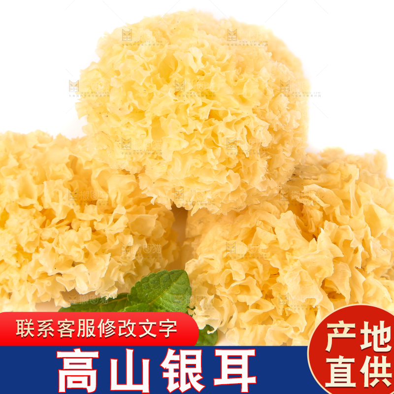 白底上的雪银耳