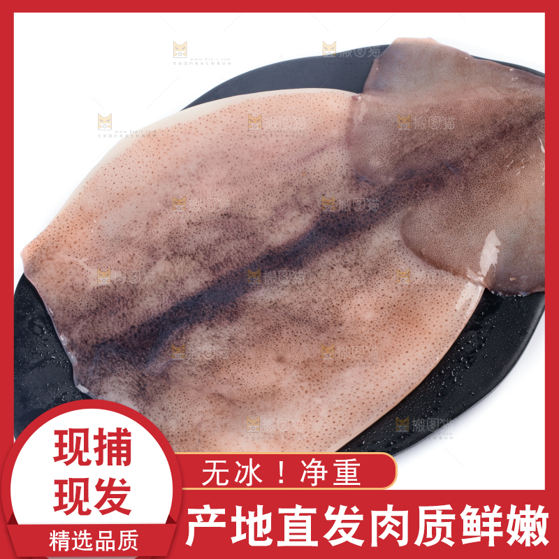 盘子里装着鱿鱼筒