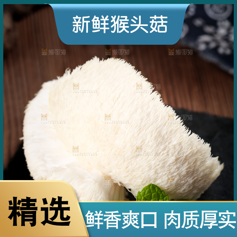黑底上的猴头菇