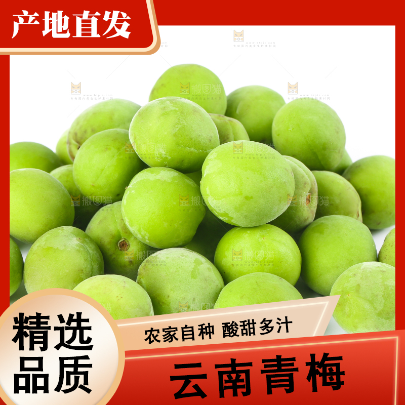 白底上的青梅