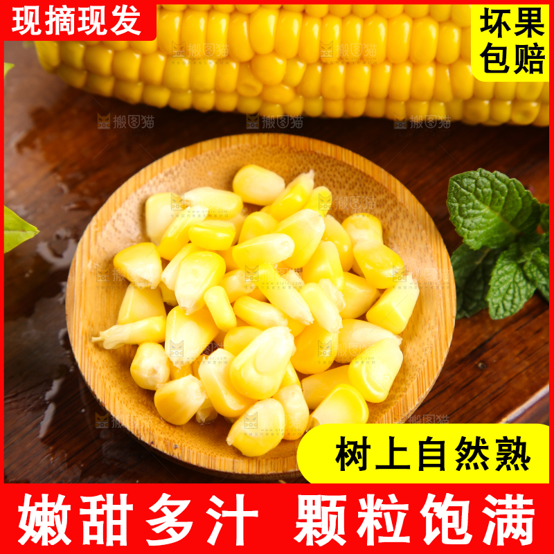 木板上的东北玉米