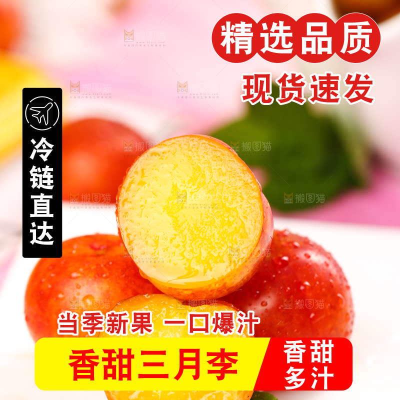 白石板上摆放着钱排三月李