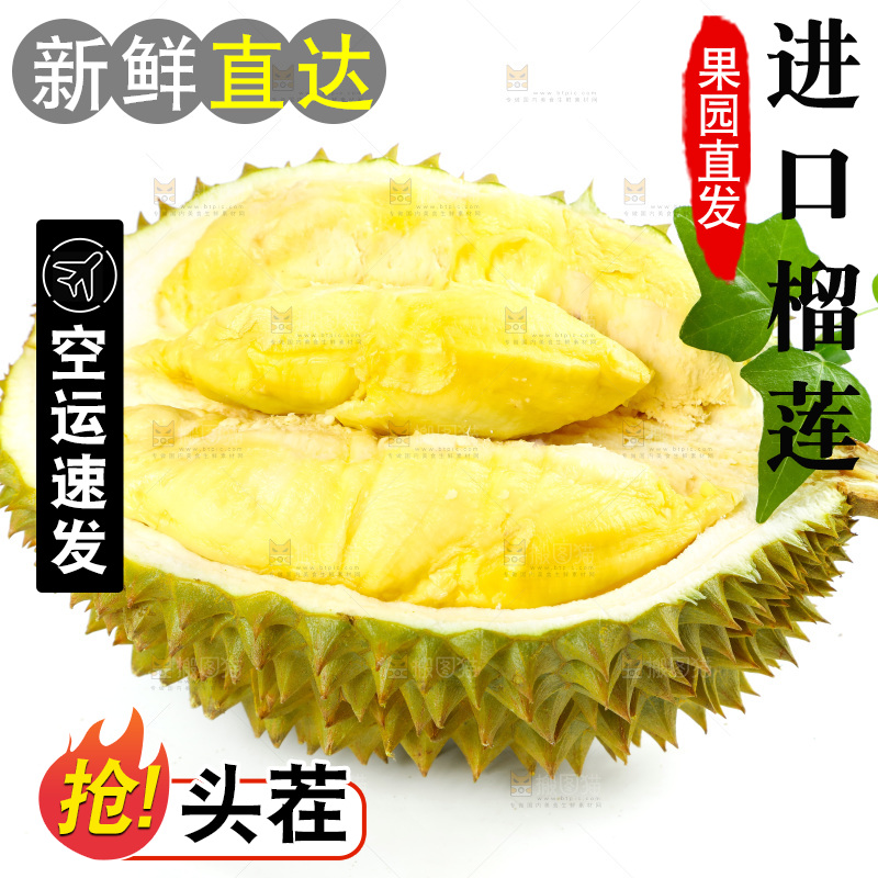 白底上的泰国榴莲