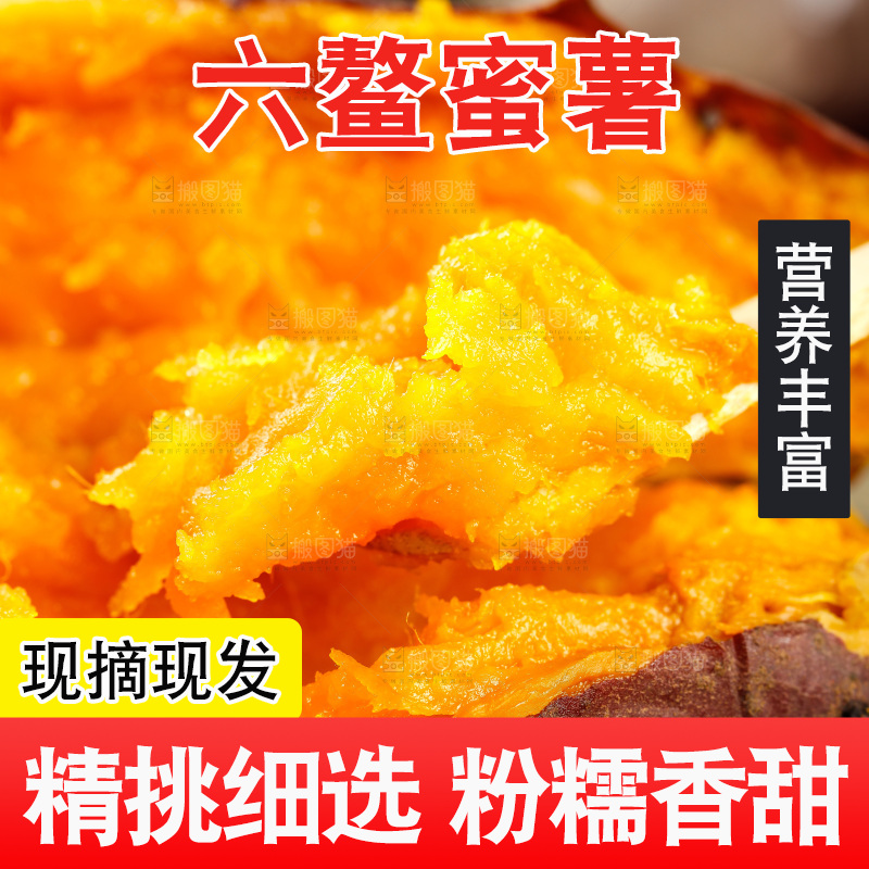 深底上的福建六鳌蜜薯