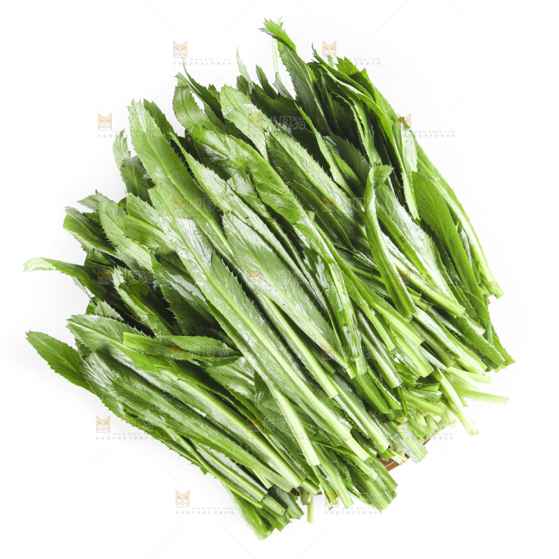 白底上的云南大香菜