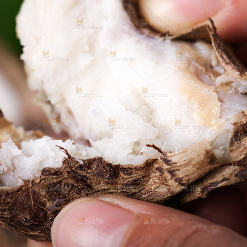 手里拿着新鲜小芋头