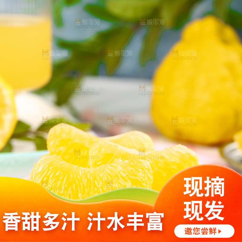 木板上的四川柠檬不知火