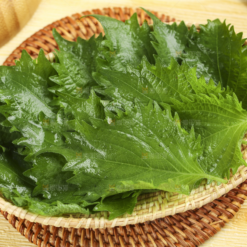 一盘绿紫苏叶放在木底上