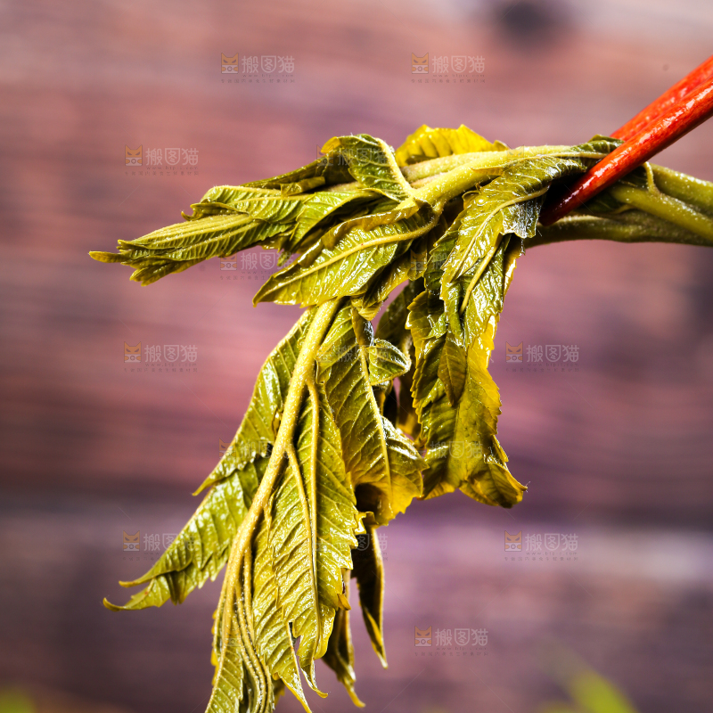 筷子夹着新鲜香椿芽