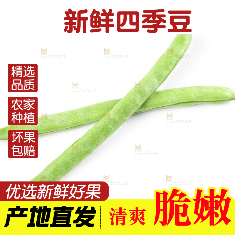 白底上摆放着四季豆