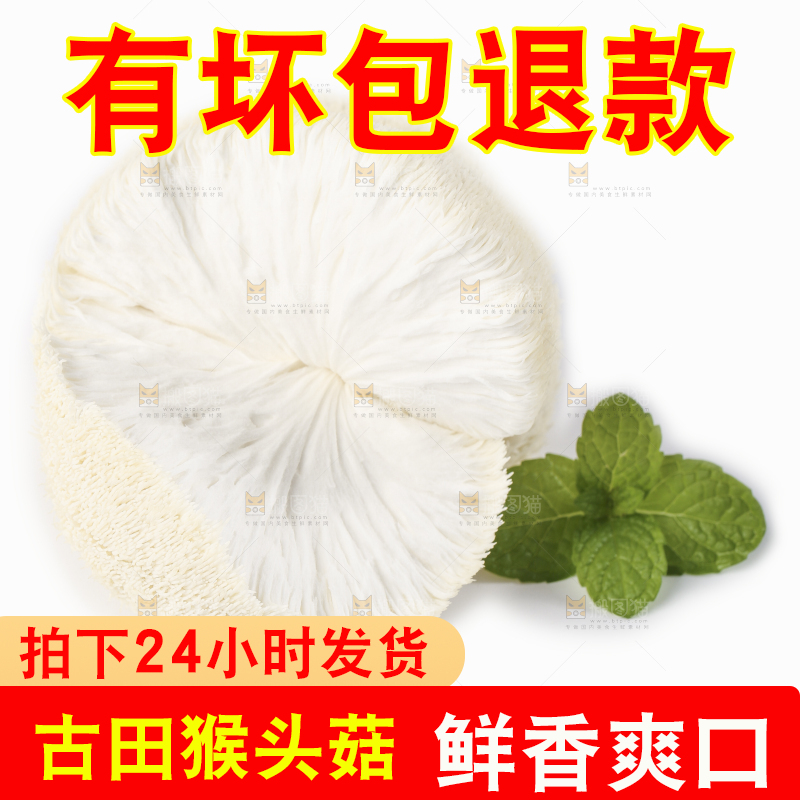 白底上放着东北山猴头菇